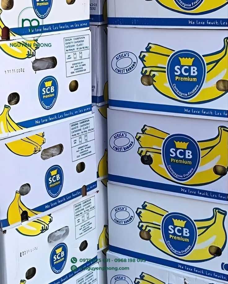 Đa dạng kích thước thùng carton đựng chuối